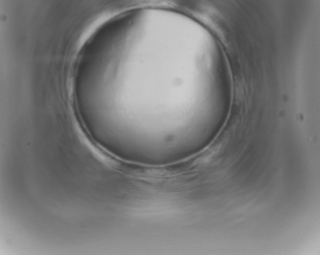 X0000060751383200511241652