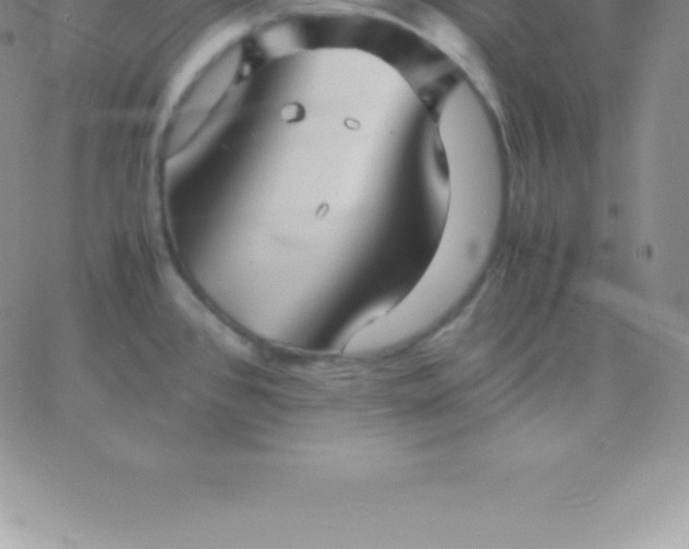 X0000060751384200511241652