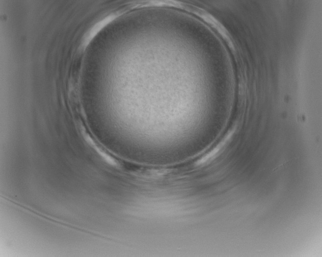 X0000060751385200511241652