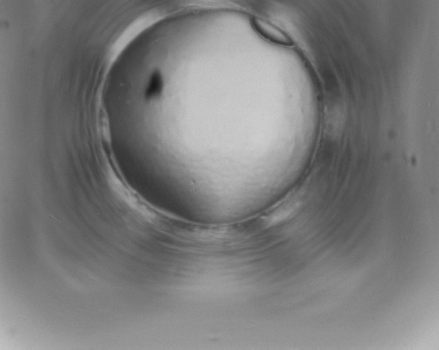 X0000060751386200511241652