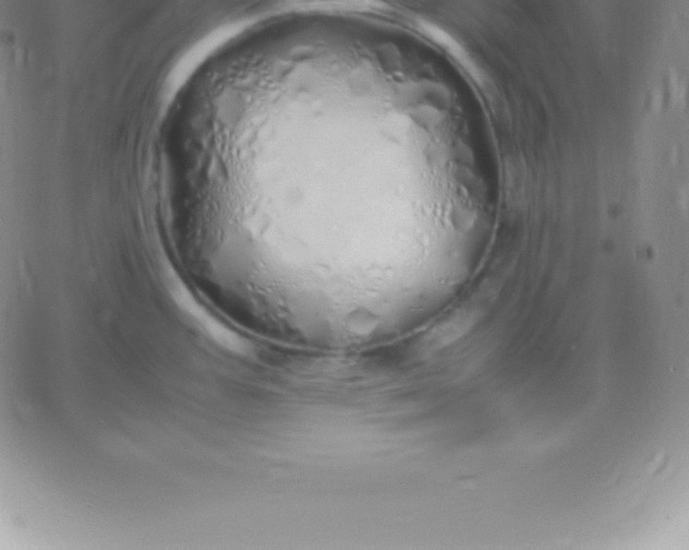 X0000060751387200511241652