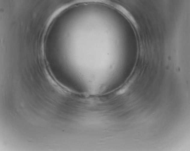 X0000060751388200511241652