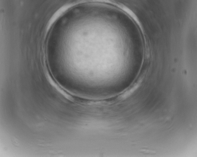 X0000060751389200511241652