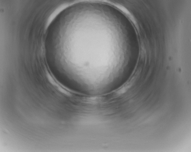 X0000060751390200511241652