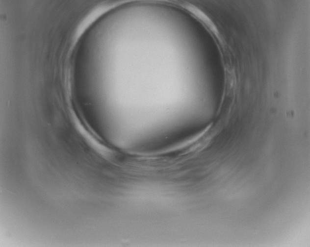 X0000060751391200511241652