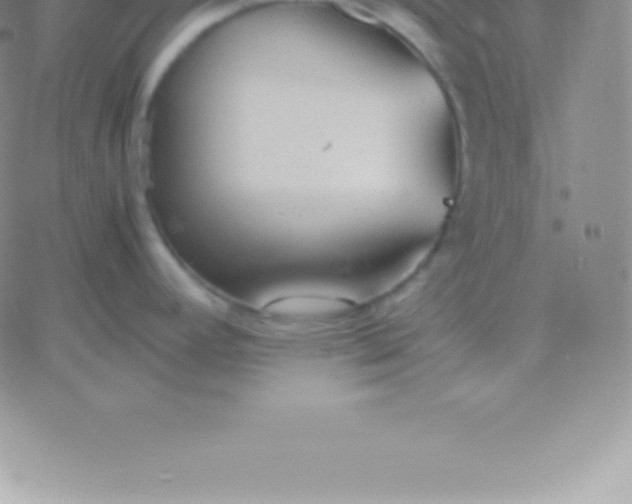 X0000060751392200511241652