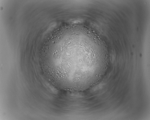 X0000060751393200511241651