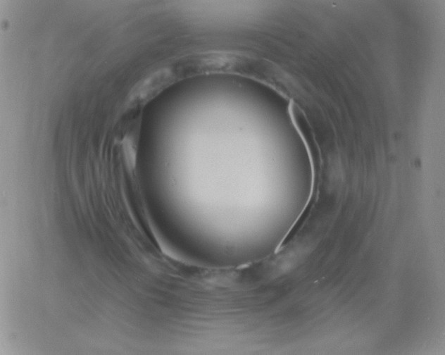 X0000060751394200511241651