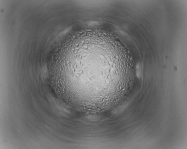 X0000060751395200511241651