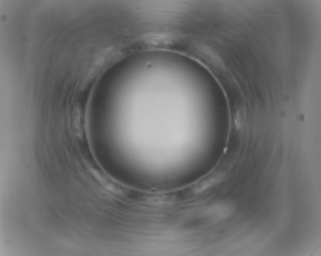 X0000060751396200511241651