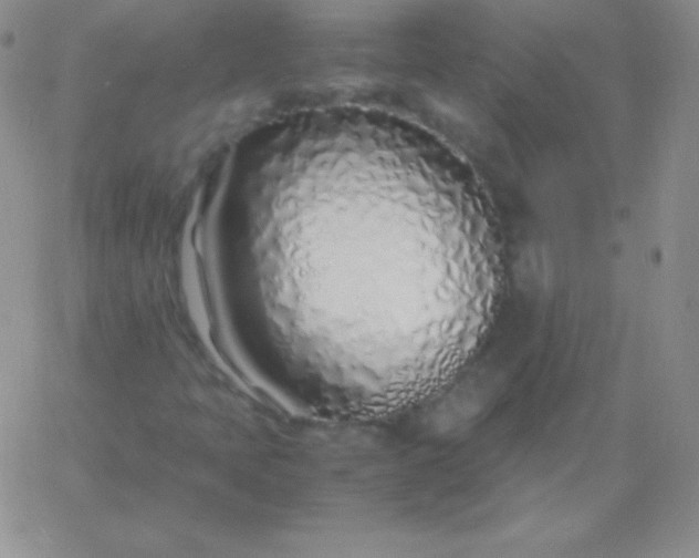 X0000060751397200511241651