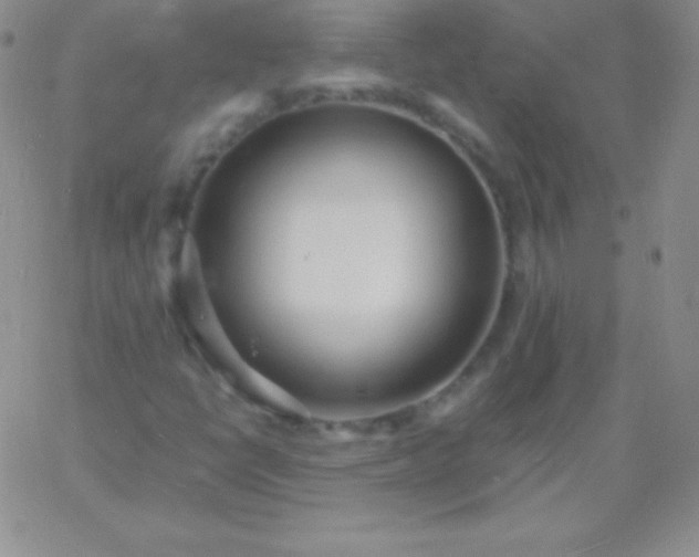 X0000060751398200511241651