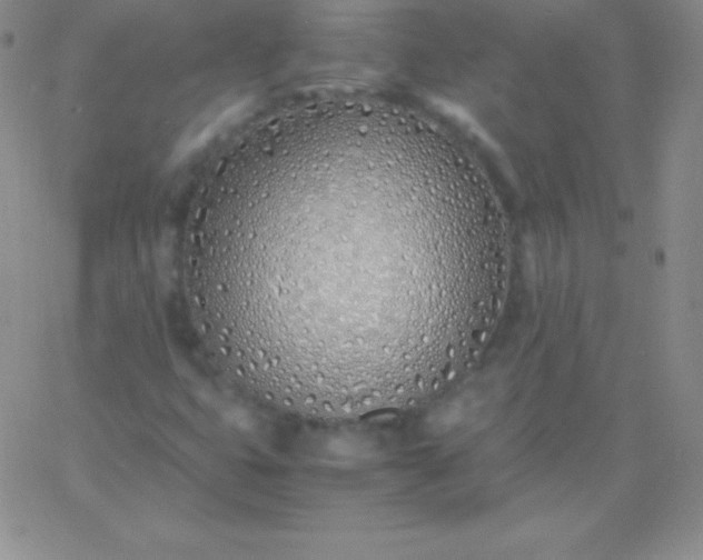 X0000060751399200511241651