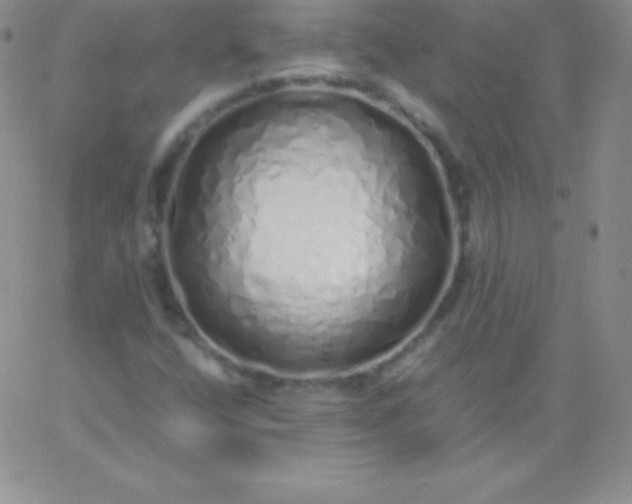 X0000060751400200511241651