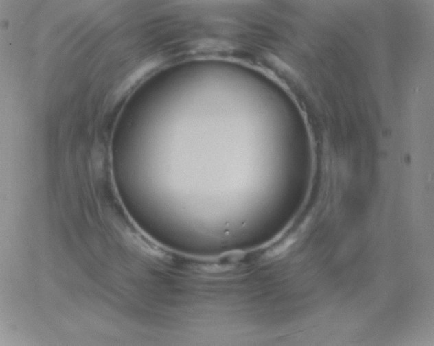 X0000060751401200511241651