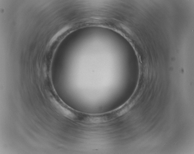 X0000060751402200511241651