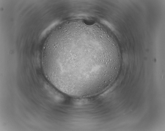 X0000060751403200511241651