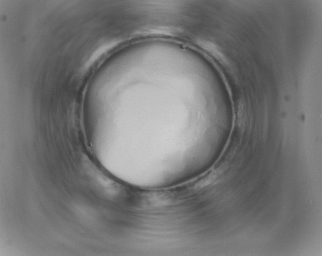 X0000060751404200511241651