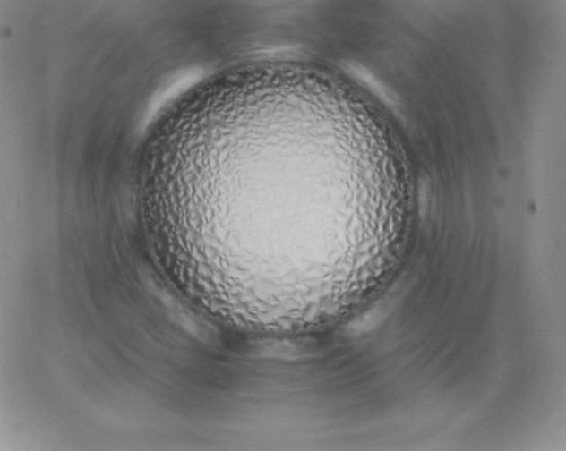 X0000060751405200511241651