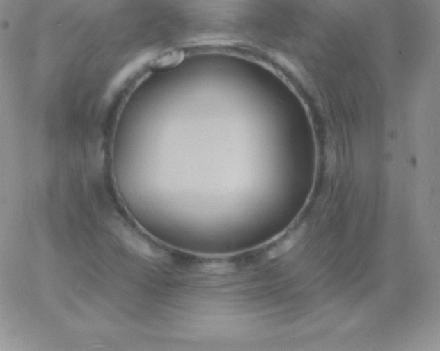 X0000060751406200511241651