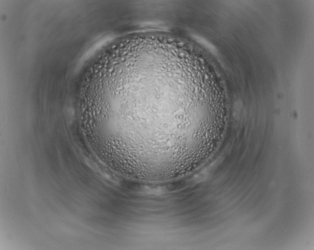 X0000060751407200511241651