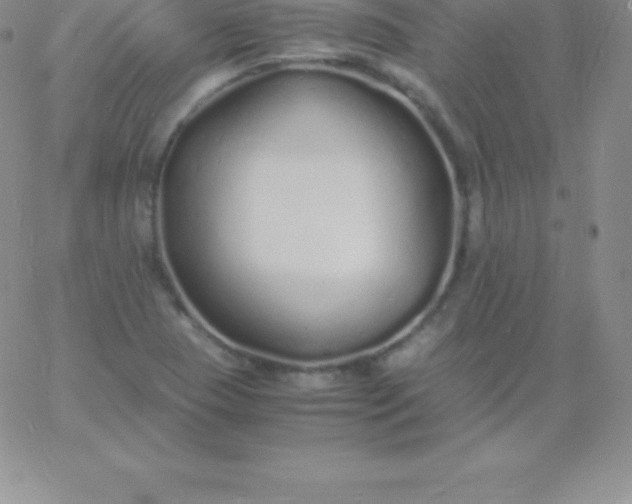 X0000060751409200511241651