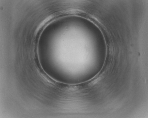 X0000060751410200511241652