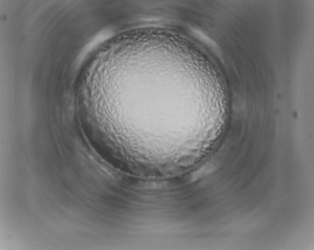 X0000060751411200511241652