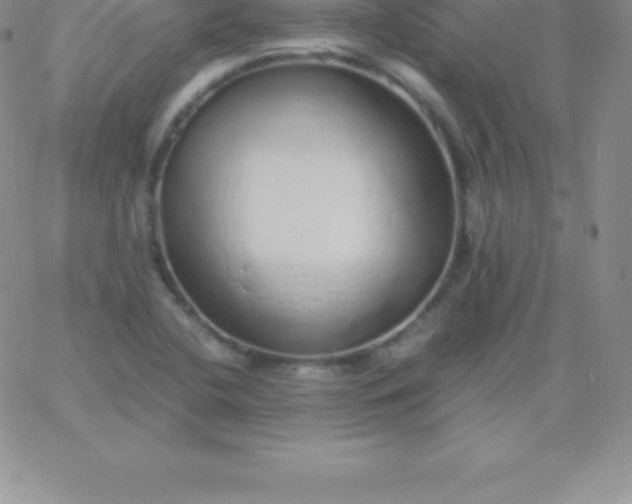 X0000060751412200511241652