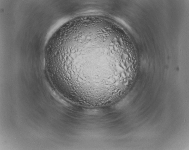 X0000060751413200511241652