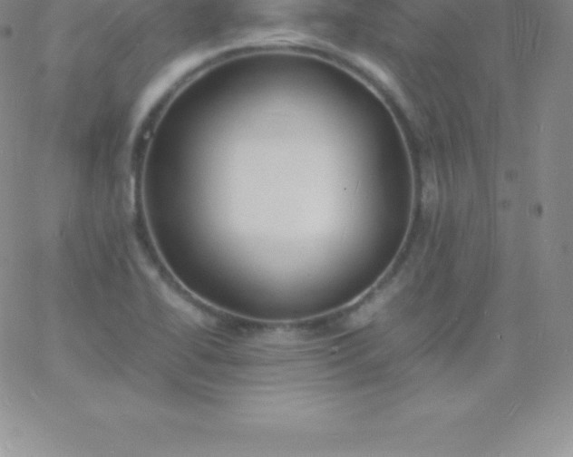 X0000060751414200511241652