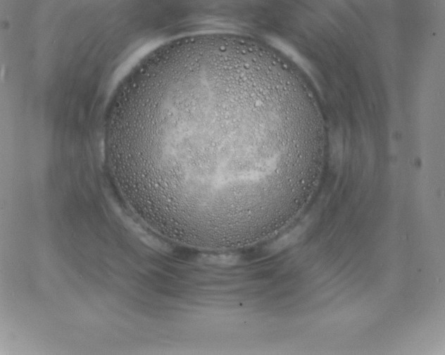 X0000060751415200511241652