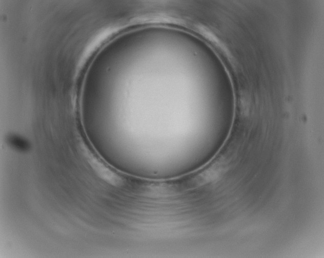 X0000060751416200511241652