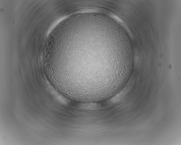 X0000060751417200511241652