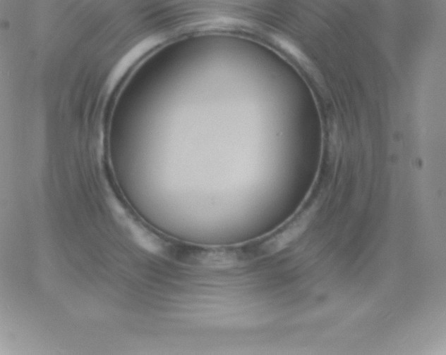 X0000060751418200511241652