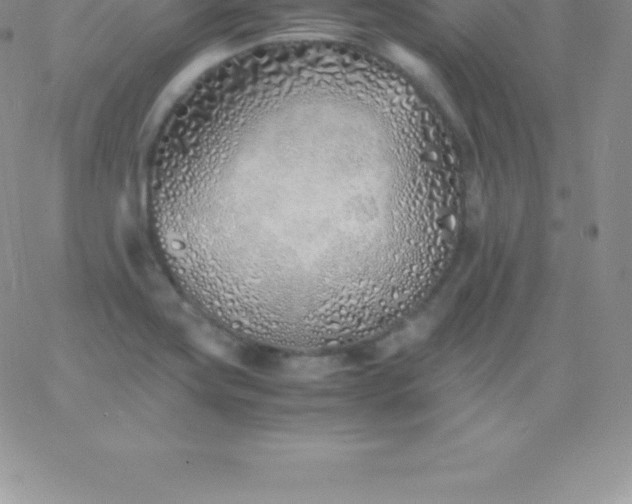 X0000060751419200511241652