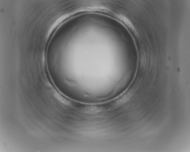 X0000060751420200511241652