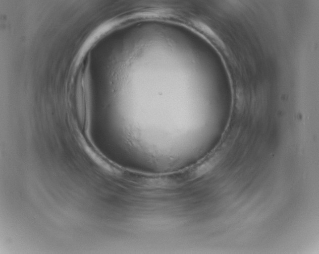 X0000060751421200511241652