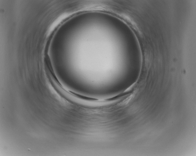 X0000060751422200511241652