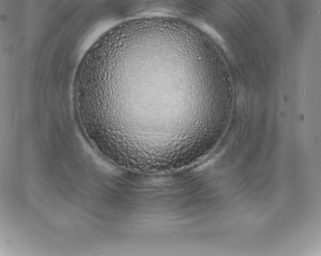 X0000060751423200511241652