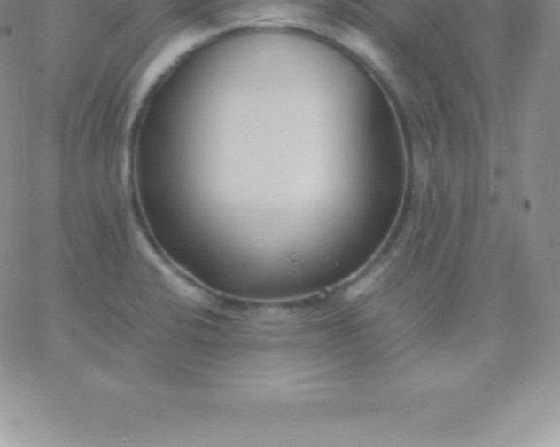 X0000060751424200511241652