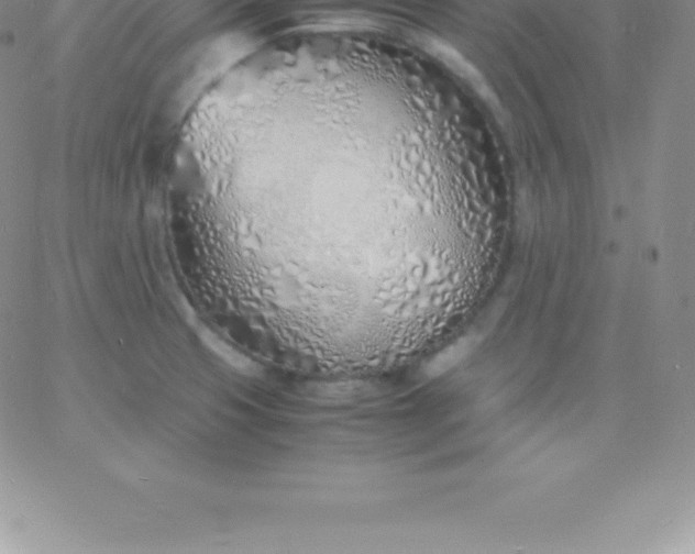 X0000060751425200511241652