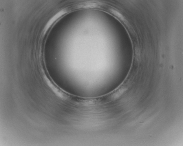 X0000060751426200511241652