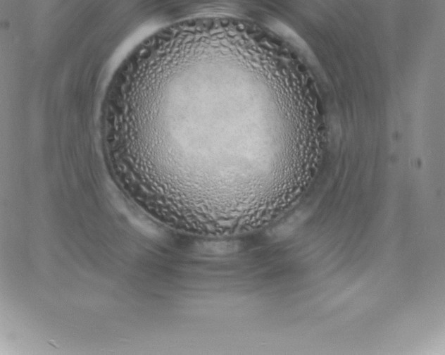 X0000060751427200511241652