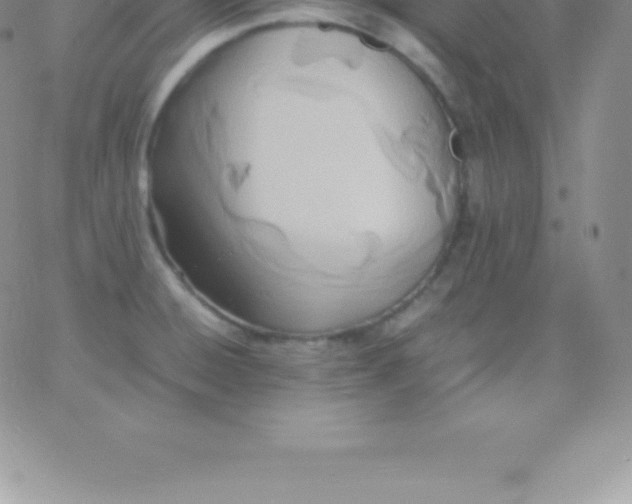 X0000060751428200511241652