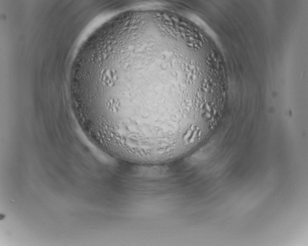 X0000060751429200511241652