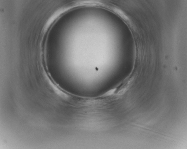 X0000060751430200511241652