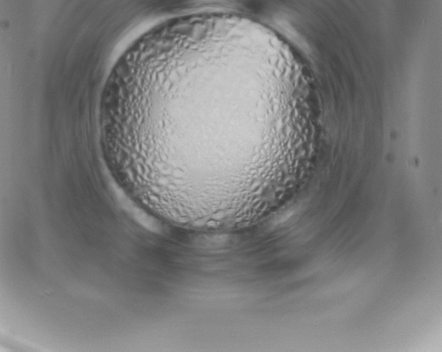 X0000060751431200511241652