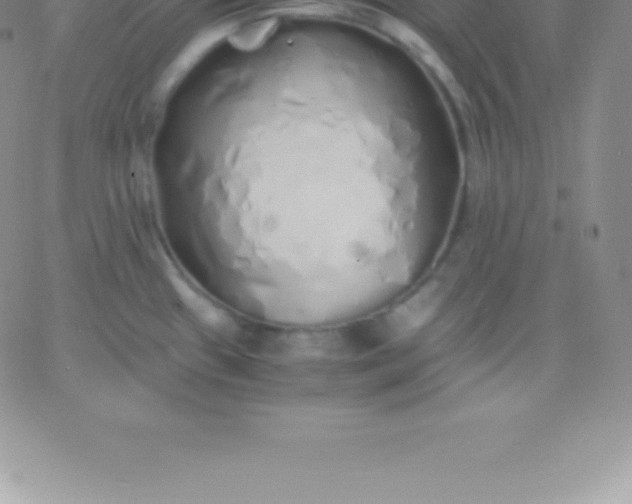 X0000060751433200511241652