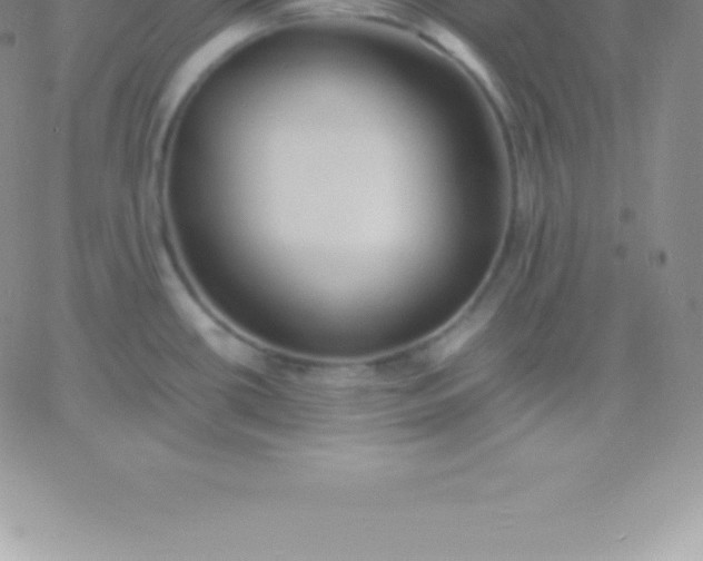 X0000060751434200511241652